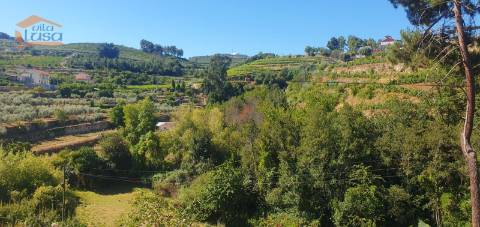 Moradia e terreno agrícola  de regadio 