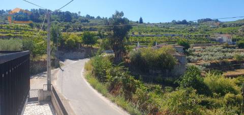 Moradia e terreno agrícola  de regadio 