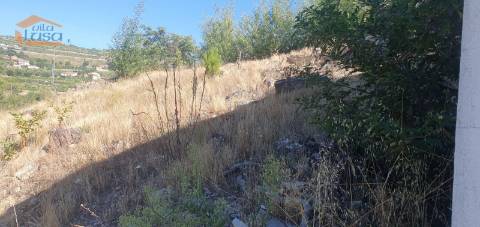 Moradia e terreno agrícola  de regadio 