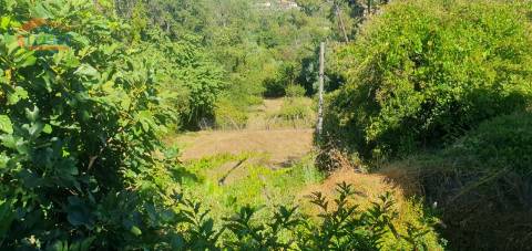 Moradia e terreno agrícola  de regadio 