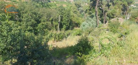 Moradia e terreno agrícola  de regadio 