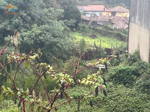 Terreno Urbano próximo à quinta das Luzes