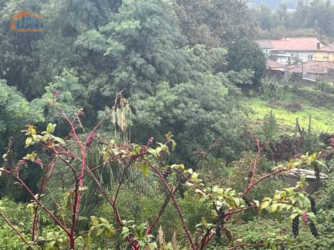 Terreno Urbano próximo à quinta das Luzes