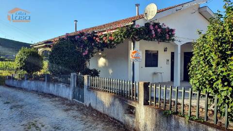 Quintinha em Amarante: Vinha, Vistas, Natureza e Acessibilidade