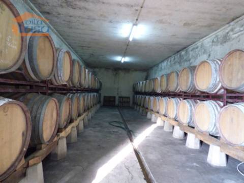 Quinta no Douro de excelente qualidade