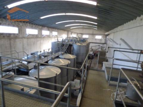 Quinta no Douro de excelente qualidade