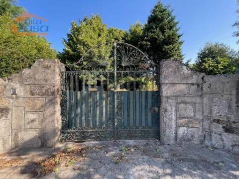 Prédio misto com moradia de 330m2 e terreno com 35000m2 em Mangualde