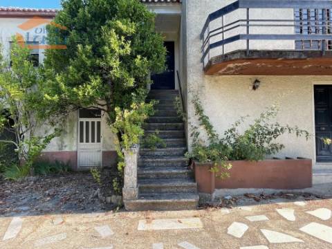 Prédio misto com moradia de 330m2 e terreno com 35000m2 em Mangualde