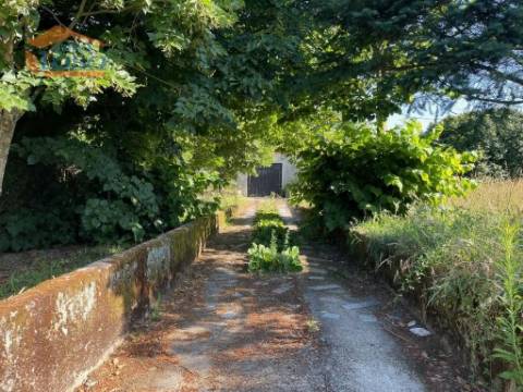 Prédio misto com moradia de 330m2 e terreno com 35000m2 em Mangualde