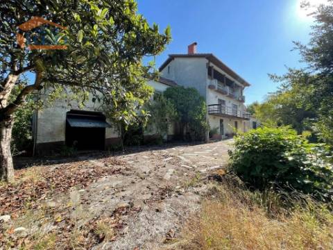 Prédio misto com moradia de 330m2 e terreno com 35000m2 em Mangualde