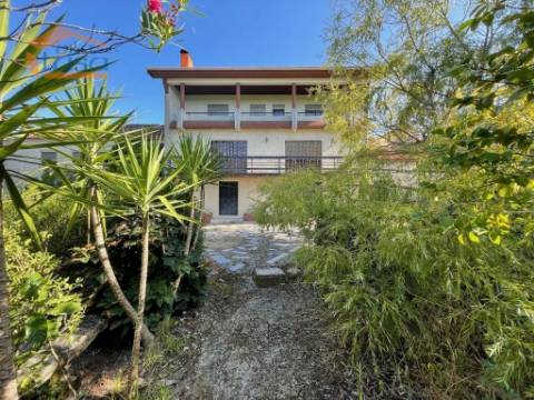 Prédio misto com moradia de 330m2 e terreno com 35000m2 em Mangualde