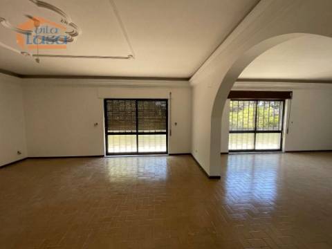 Prédio misto com moradia de 330m2 e terreno com 35000m2 em Mangualde