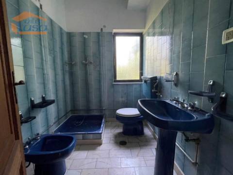 Prédio misto com moradia de 330m2 e terreno com 35000m2 em Mangualde