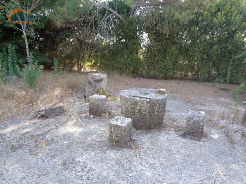 Prédio misto com moradia de 330m2 e terreno com 35000m2 em Mangualde