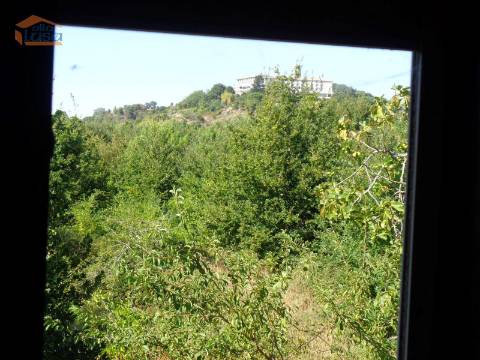 Prédio misto com moradia de 330m2 e terreno com 35000m2 em Mangualde