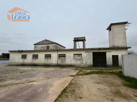 Nave industrial em ilhavo