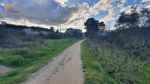 Terreno Excecional para Moradia Unifamiliar de 4 frentes em Vila Real