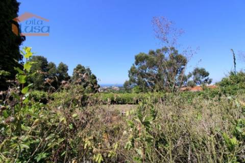 Santo Ovídio terreno de 5.100 m2