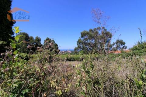 Santo Ovídio terreno de 5.100 m2