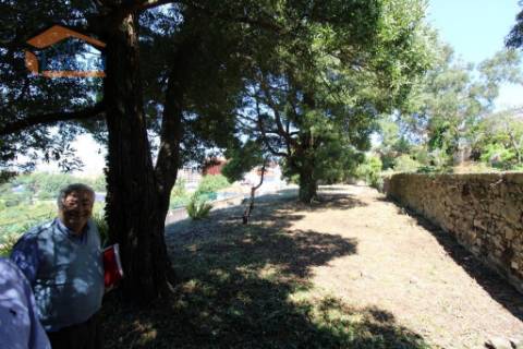 Santo Ovídio terreno de 5.100 m2