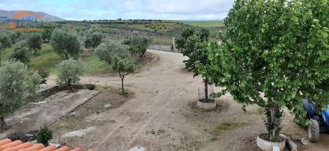 Quinta Mirandela com 12 hectares próxima do Rio Tua