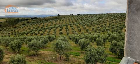 Quinta Mirandela com 12 hectares próxima do Rio Tua