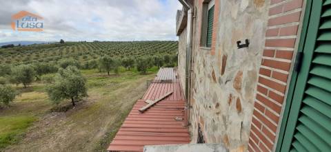 Quinta Mirandela com 12 hectares próxima do Rio Tua