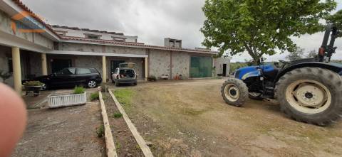 Quinta Mirandela com 12 hectares próxima do Rio Tua
