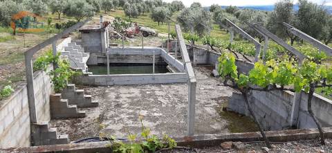 Quinta Mirandela com 12 hectares próxima do Rio Tua