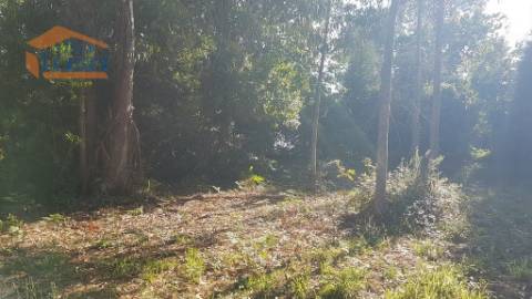 Armazém Zona Industrial de Avintes com 18.500 m2 terreno