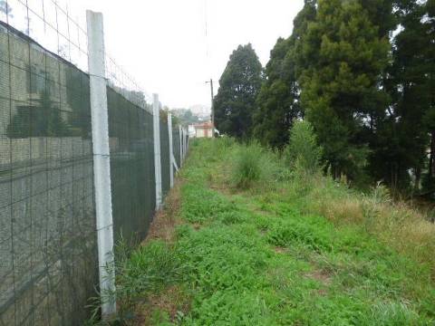 Terreno Monte da Vigem para construção