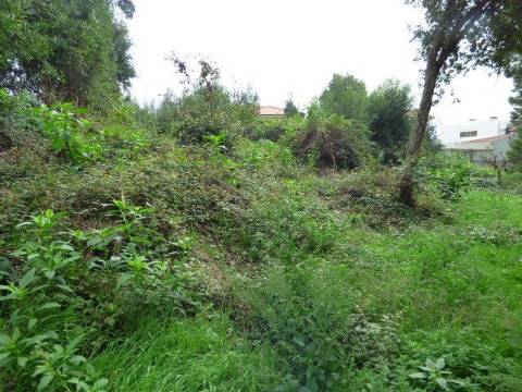 Terreno Urbano Perosinho com 400 m² para Construção de Moradia de 3 Frentes