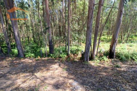 Terreno em Serzedo, Vila Nova de Gaia