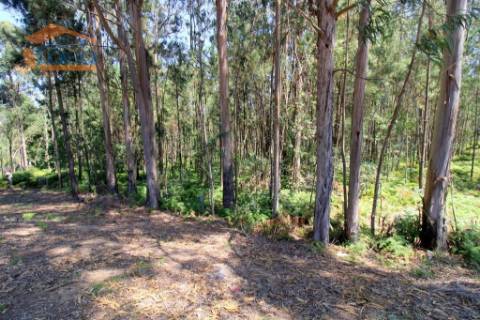 Terreno em Serzedo, Vila Nova de Gaia