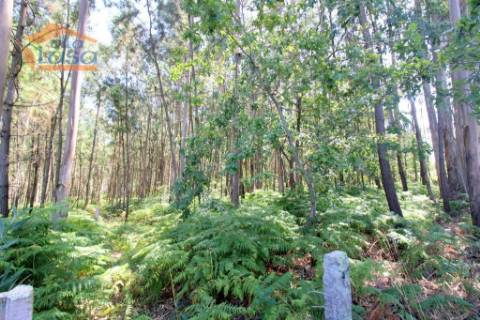 Terreno em Serzedo, Vila Nova de Gaia