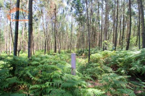 Terreno em Serzedo, Vila Nova de Gaia