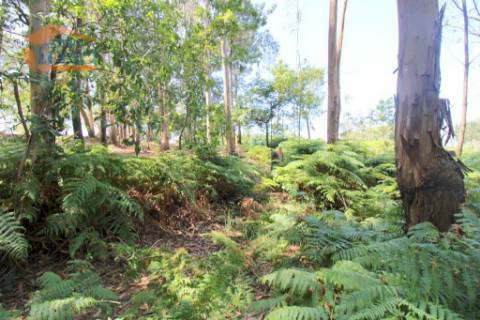 Terreno em Serzedo, Vila Nova de Gaia