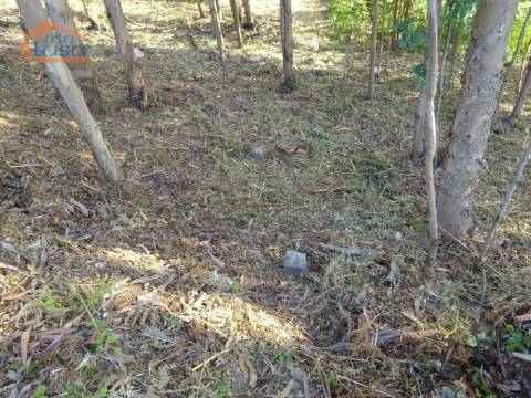 Terreno com 2.200 m2 para construção de uma moradia de 4 frentes em Perosinho e Seixezelo