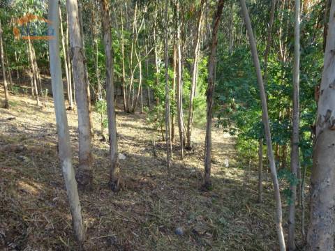 Terreno com 2.200 m2 para construção de uma moradia de 4 frentes em Perosinho e Seixezelo