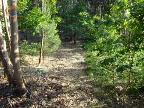 Terreno com 2.200 m2 para construção de uma moradia de 4 frentes em Perosinho e Seixezelo