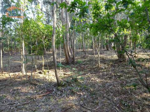 Terreno com 2.200 m2 para construção de uma moradia de 4 frentes em Perosinho e Seixezelo