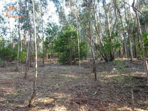 Terreno com 2.200 m2 para construção de uma moradia de 4 frentes em Perosinho e Seixezelo