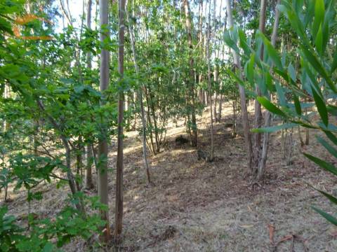 Terreno com 2.200 m2 para construção de uma moradia de 4 frentes em Perosinho e Seixezelo