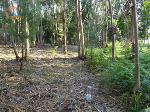 Terreno com 2.200 m2 para construção de uma moradia de 4 frentes em Perosinho e Seixezelo