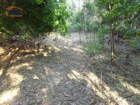 Terreno com 2.200 m2 para construção de uma moradia de 4 frentes em Perosinho e Seixezelo