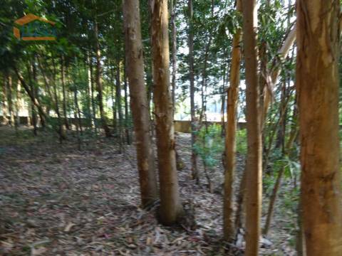 Terreno com 2.200 m2 para construção de uma moradia de 4 frentes em Perosinho e Seixezelo