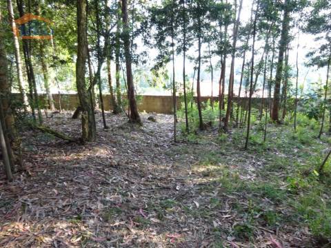 Terreno com 2.200 m2 para construção de uma moradia de 4 frentes em Perosinho e Seixezelo