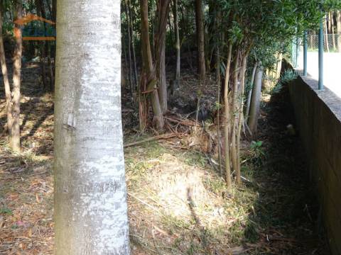 Terreno com 2.200 m2 para construção de uma moradia de 4 frentes em Perosinho e Seixezelo