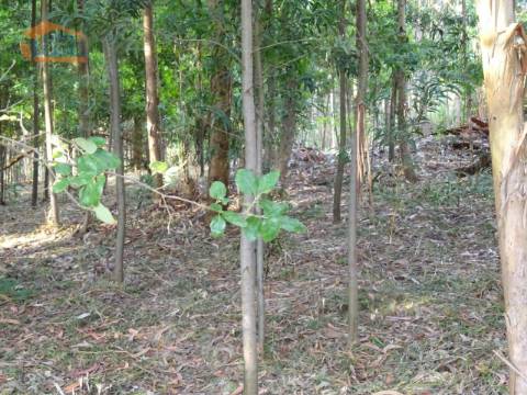 Terreno com 2.200 m2 para construção de uma moradia de 4 frentes em Perosinho e Seixezelo