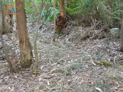 Terreno com 2.200 m2 para construção de uma moradia de 4 frentes em Perosinho e Seixezelo